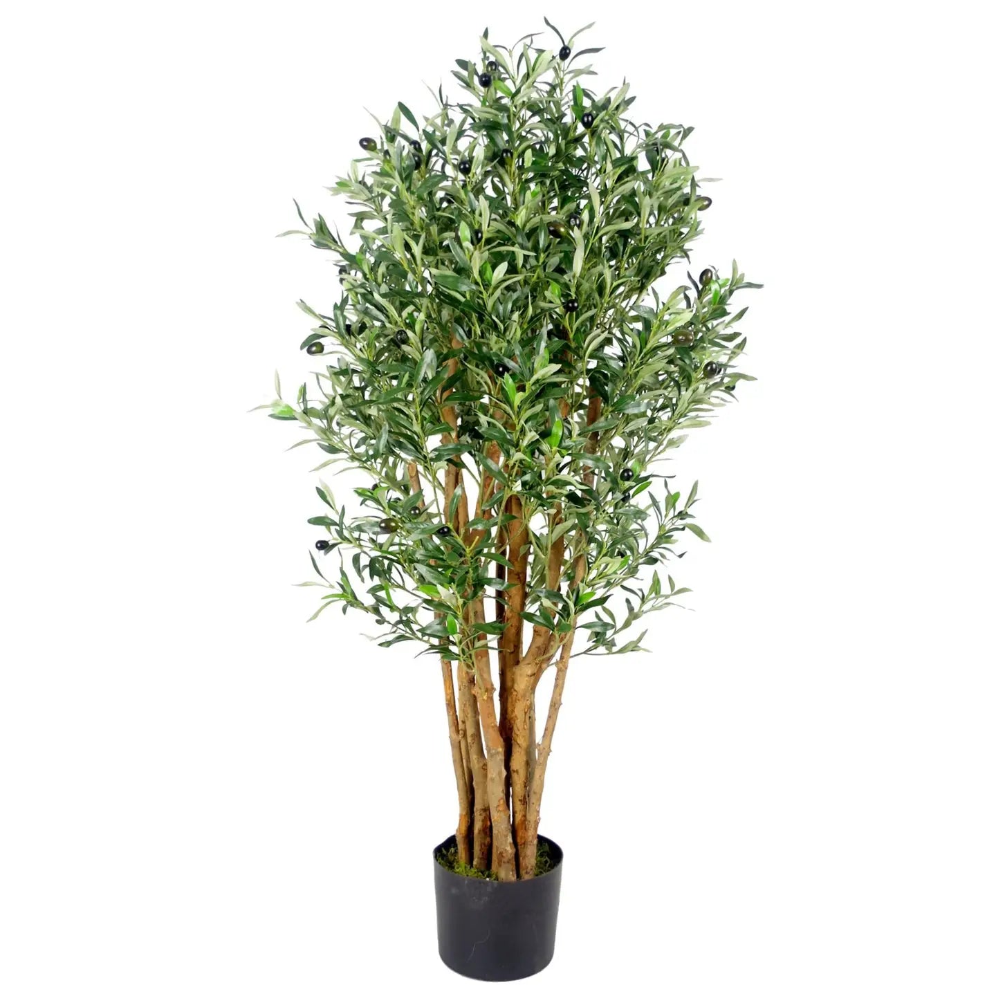 Artificial Olive Tree Plant Premium