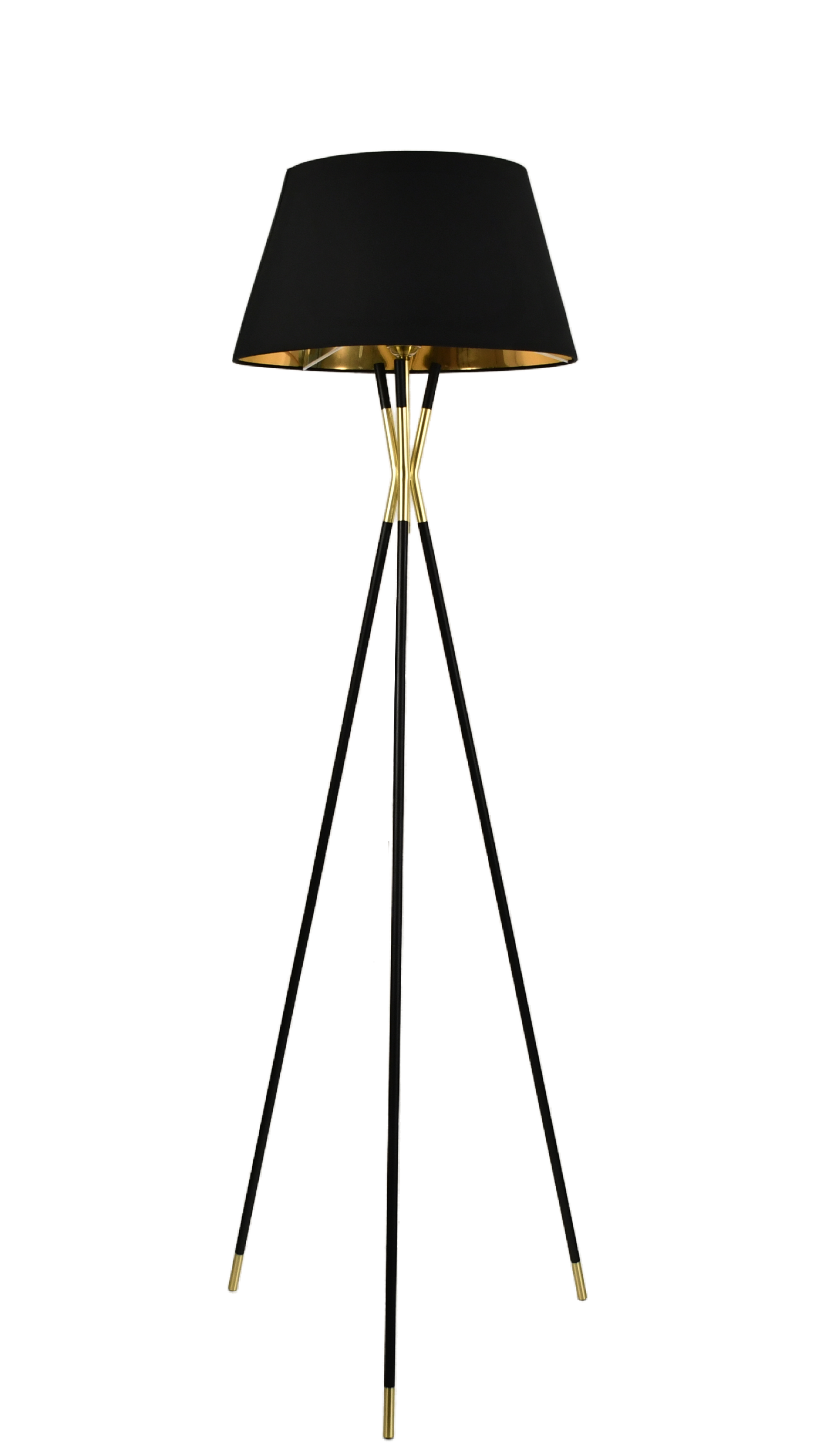 The Griffin Floor Lamp