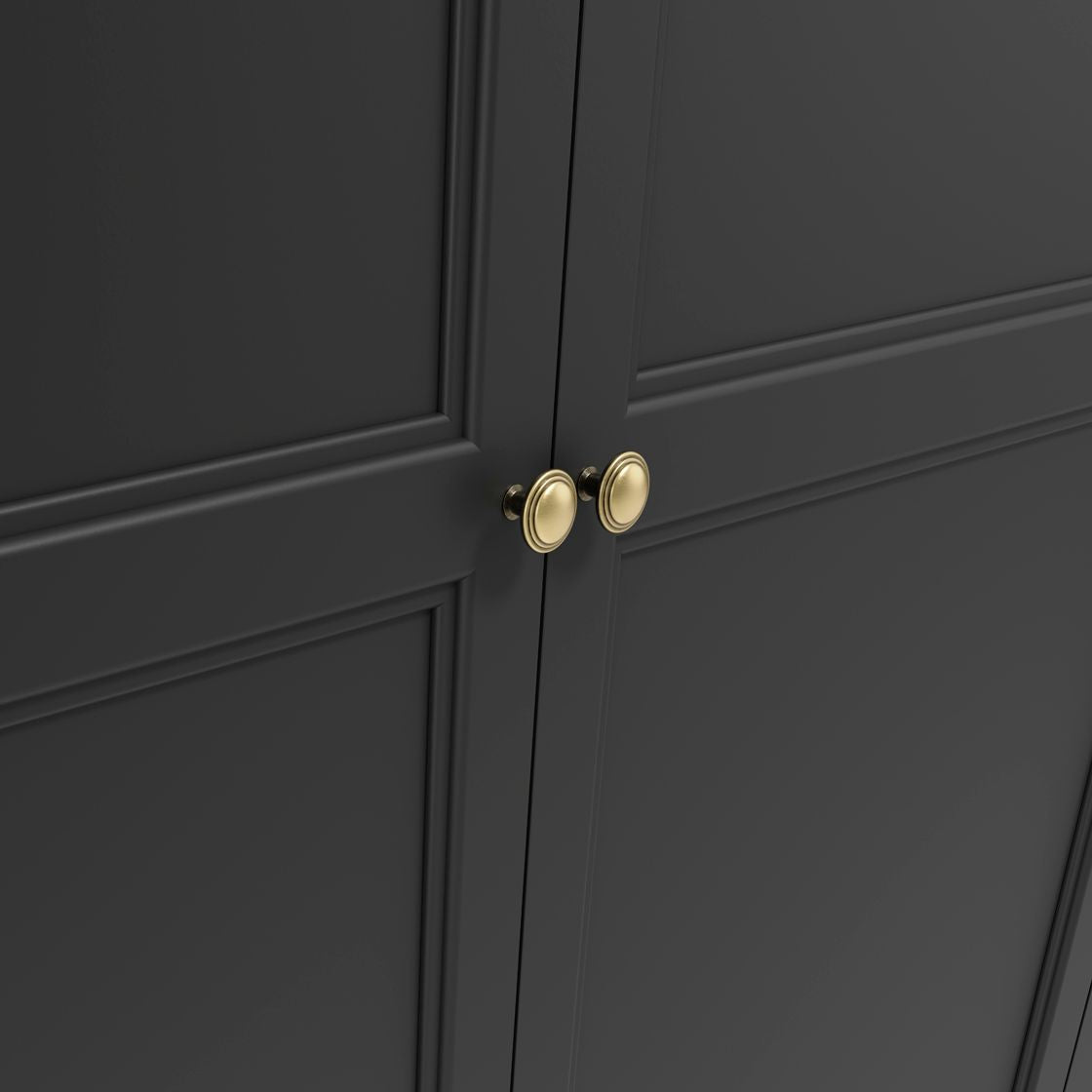 Ives 2-Door Wardrobe Black